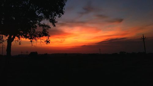 Silhouette trees on landscape against orange sky