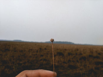 Person holding umbrella on field against sky