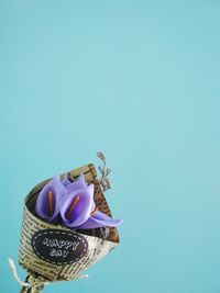 Close-up of ice cream over white background
