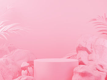Close-up of pink rose against wall