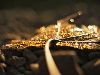 Close-up of water drops on metal