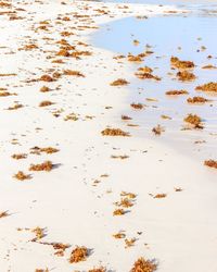 High angle view of beach