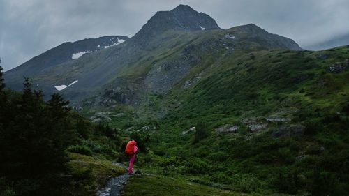 Rear view of man standing on mountain against sky