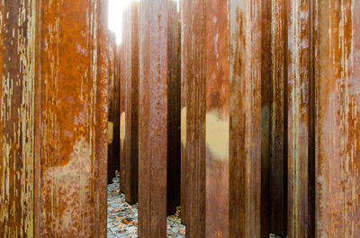 Close-up of wood against trees