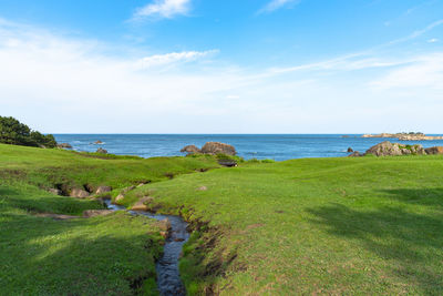 Scenic view of sea against sky