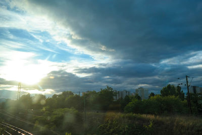 Trees on field against cloudy sky