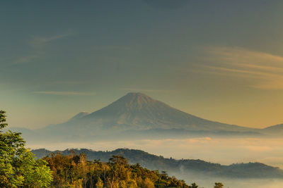 Scenic view of trees against cloudy sky during sunset