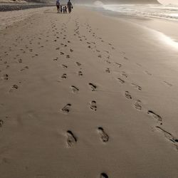 High angle view of footprints on sand at beach