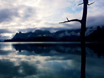 Reflection of tree in lake against sky