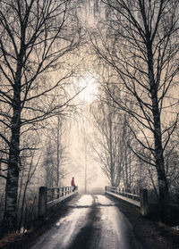 Road amidst bare trees during winter