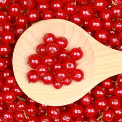 Directly above shot of cherries in plate