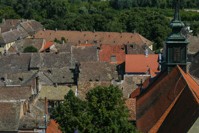 High angle view of houses and trees in town