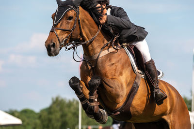 Horse jumping, equestrian sports, show jumping competition themed photograph.