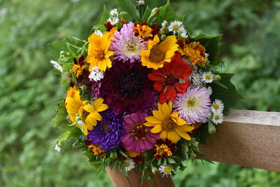 Close-up of flowers blooming outdoors