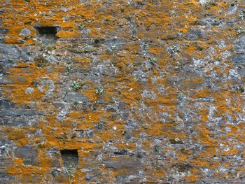 Full frame shot of orange rocky surface