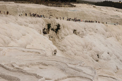 Group of people on beach