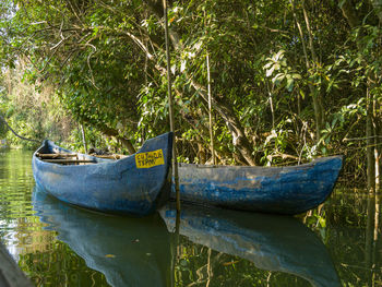 Boat moored on shore against trees