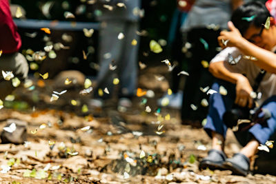 Rear view of people walking on street