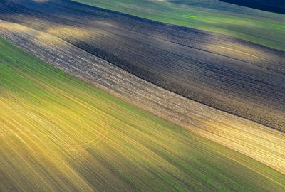 Full frame shot of multi colored land