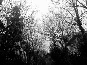 Low angle view of bare trees against clear sky