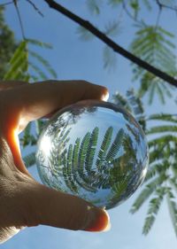 Close-up of hand holding crystal ball against trees