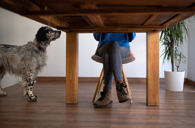 Rear view of dog standing on hardwood floor
