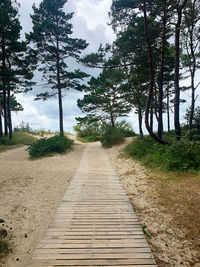 Footpath amidst trees on landscape against sky
