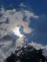 Low angle view of tree against sky