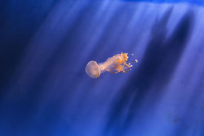 Close-up of heart shape on yellow wall