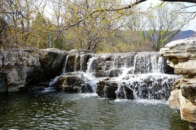 Scenic view of waterfall in forest
