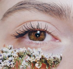Close-up of human eye