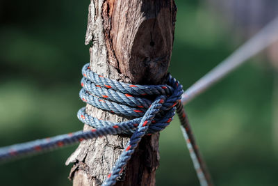 Close-up of rope tied on wooden post