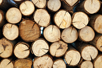 Full frame shot of logs