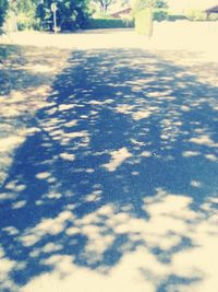 Close-up of tree against blue sky