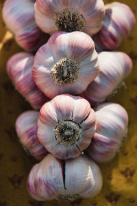 Close-up of garlics on table