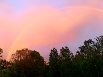 Low angle view of rainbow over trees against sky