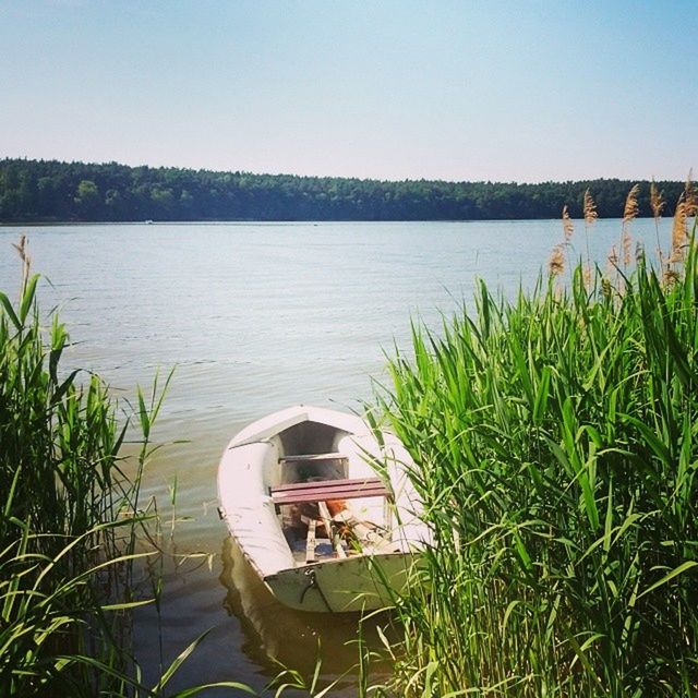 water, plant, grass, clear sky, growth, tranquility, tranquil scene, nature, lake, reflection, green color, beauty in nature, built structure, scenics, sky, day, outdoors, architecture, house, nautical vessel