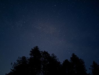 Low angle view of silhouette trees against star field at night