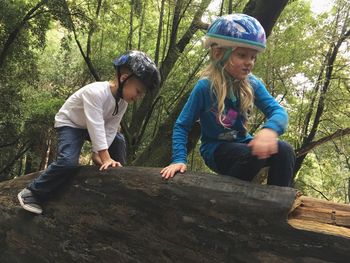 Low angle view of siblings playing on log at henry cowell redwoods state park