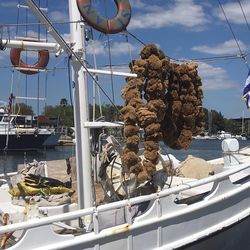 Boats in harbor