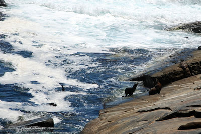 Scenic view of frozen sea