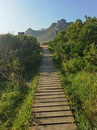 Boardwalk amidst trees against sky