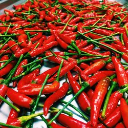 Red chili peppers in plate