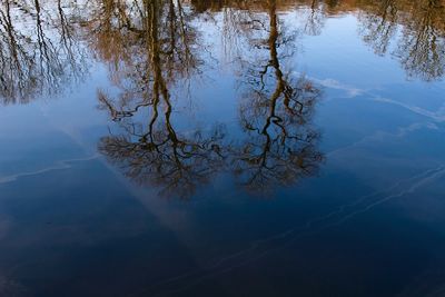 Reflection of trees in lake against sky