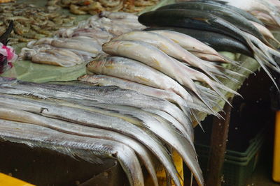 High angle view of fish for sale in market