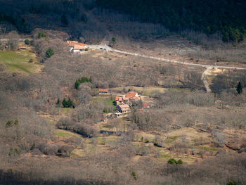 High angle view of trees and houses on field