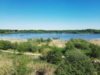 Scenic view of lake against clear blue sky