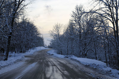 Snow covered road amidst bare trees against sky