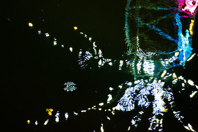 Reflection of illuminated plants in lake at night