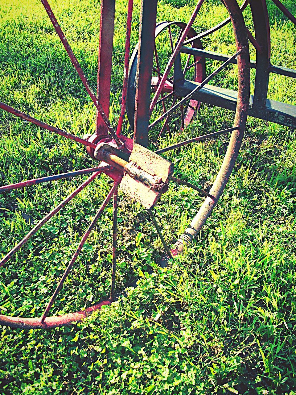 CLOSE-UP OF RUSTY BICYCLE WHEEL IN GRASS